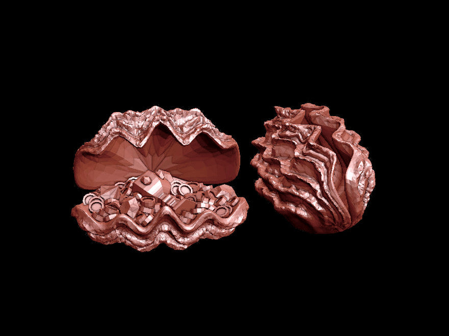 Giant Clam Collection