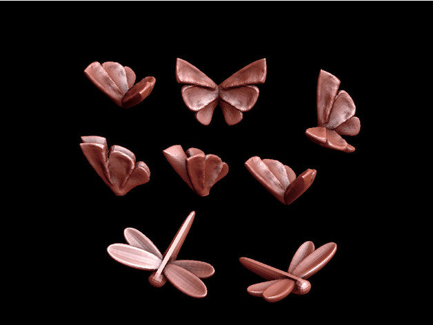 Butterflies and Dragonflies Collections