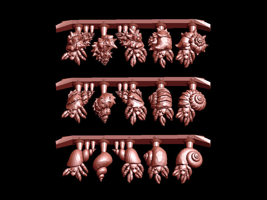 Hermit Crab Collection