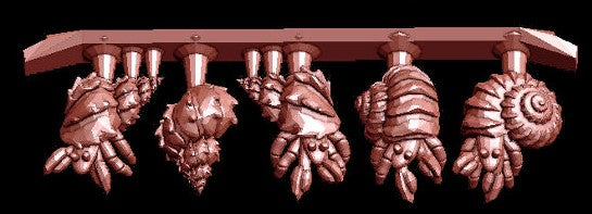 Hermit Crab Collection