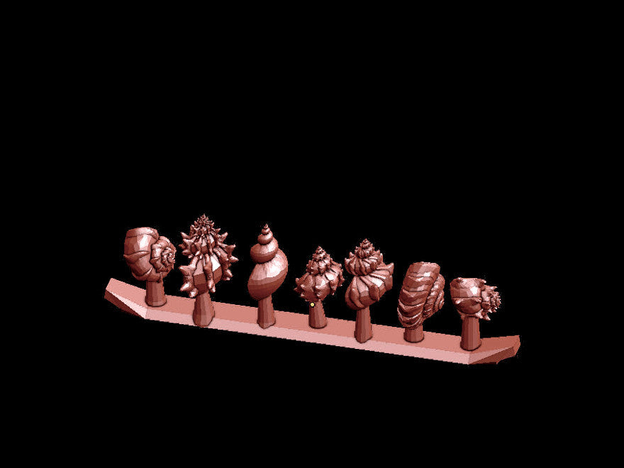 Spiral Shells Collection