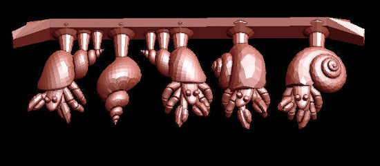 Hermit Crab Collection