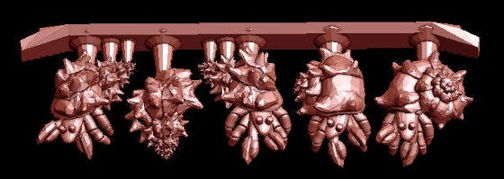 Hermit Crab Collection