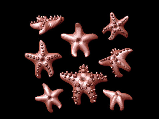 Sea Star Collection