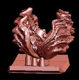 Giant Clam Collection