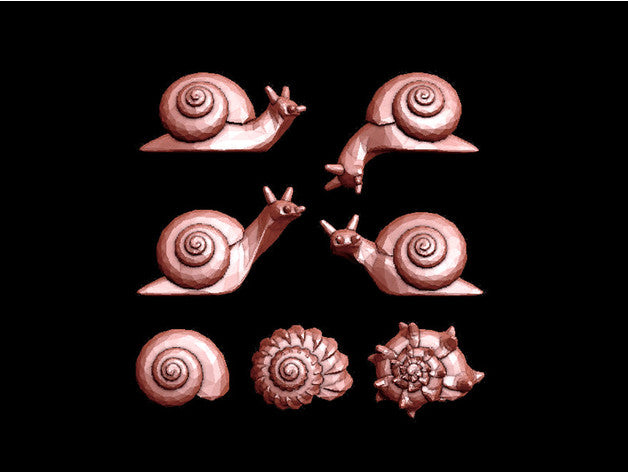 Snails Collection