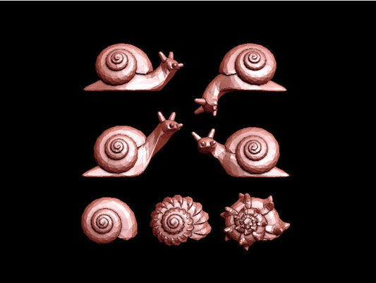 Snails Collection