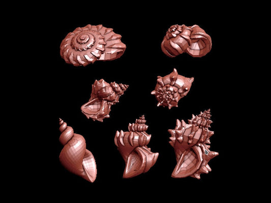 Spiral Shells Collection